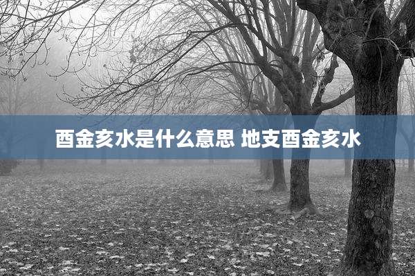 酉金亥水是什么意思 地支酉金亥水