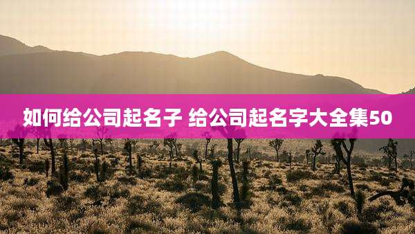 如何给公司起名子 给公司起名字大全集50