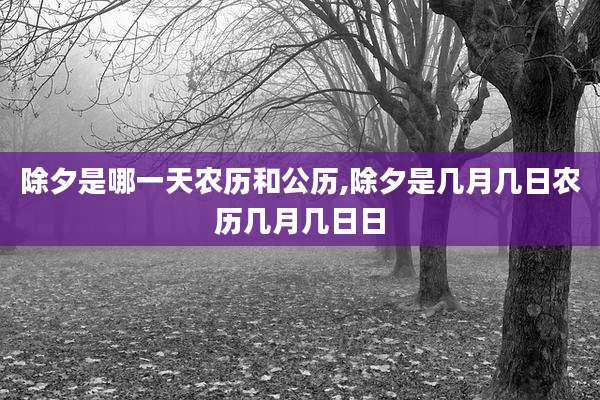 除夕是哪一天农历和公历,除夕是几月几日农历几月几日日