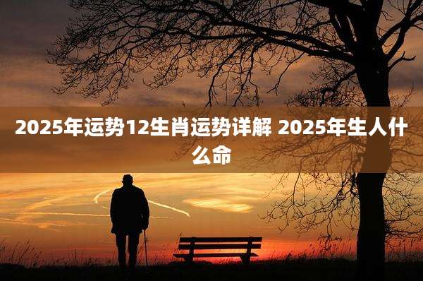 2025年运势12生肖运势详解 2025年生人什么命