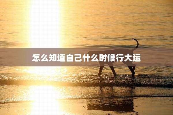 怎么知道自己什么时候行大运