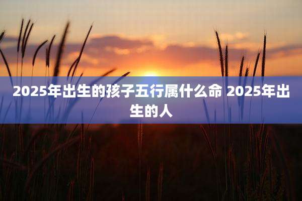 2025年出生的孩子五行属什么命 2025年出生的人
