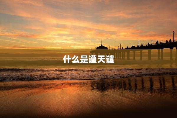 什么是遭天谴
