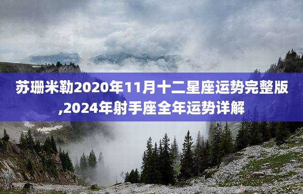 苏珊米勒2020年11月十二星座运势完整版,2024年射手座全年运势详解