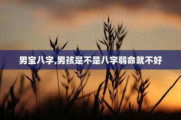 男宝八字,男孩是不是八字弱命就不好