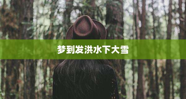 梦到发洪水下大雪