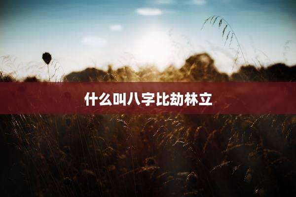 什么叫八字比劫林立