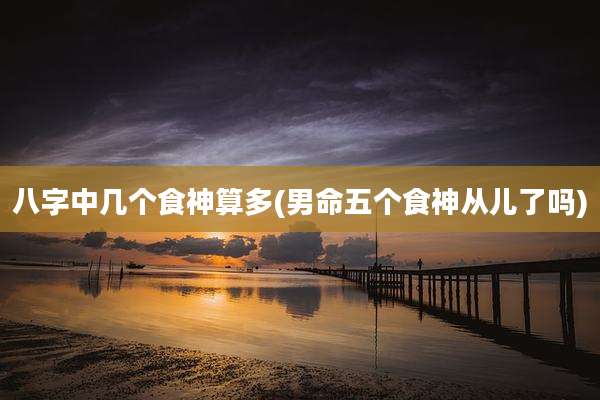 八字中几个食神算多(男命五个食神从儿了吗)
