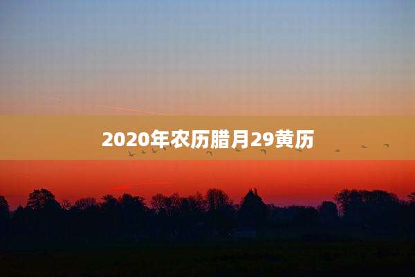 2020年农历腊月29黄历