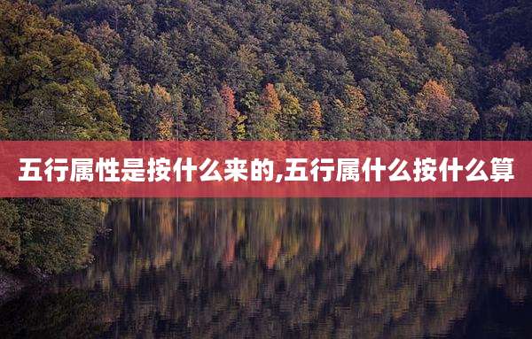 五行属性是按什么来的,五行属什么按什么算