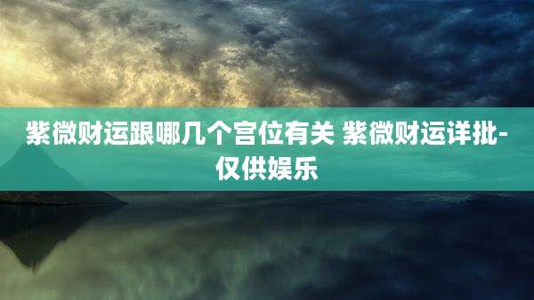 紫微财运跟哪几个宫位有关 紫微财运详批-仅供娱乐