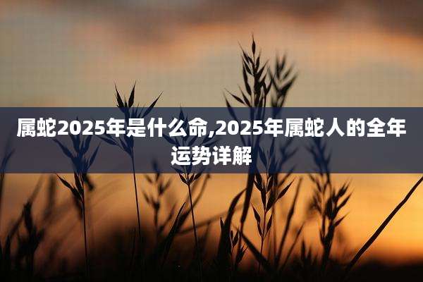 属蛇2025年是什么命,2025年属蛇人的全年运势详解
