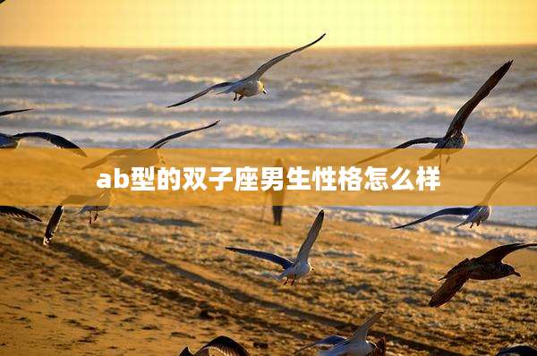 ab型的双子座男生性格怎么样