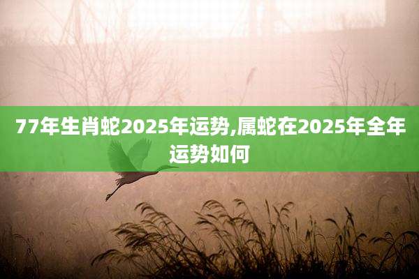77年生肖蛇2025年运势,属蛇在2025年全年运势如何