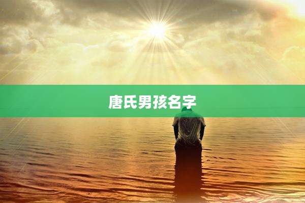 唐氏男孩名字