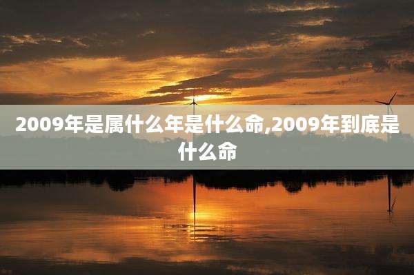 2009年是属什么年是什么命,2009年到底是什么命