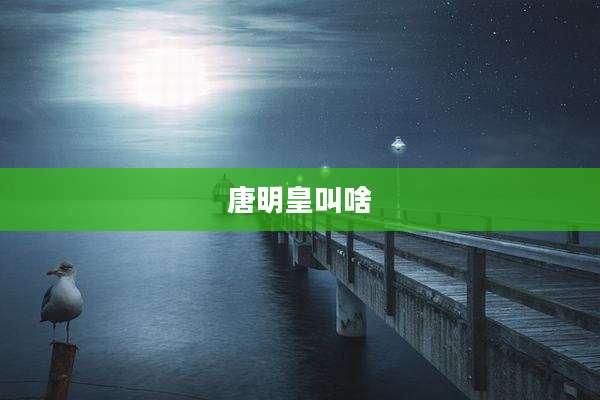 唐明皇叫啥