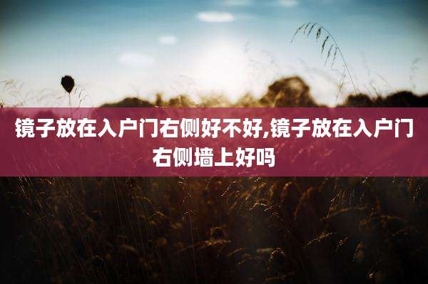镜子放在入户门右侧好不好,镜子放在入户门右侧墙上好吗