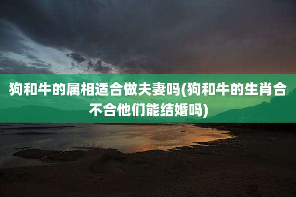 狗和牛的属相适合做夫妻吗(狗和牛的生肖合不合他们能结婚吗)