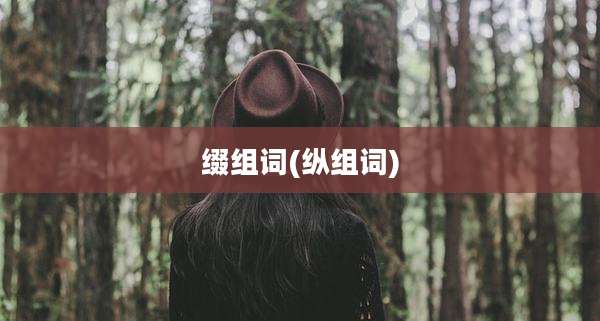 缀组词(纵组词)