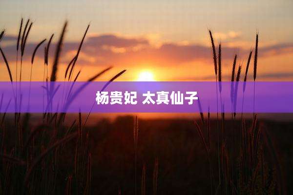 杨贵妃 太真仙子