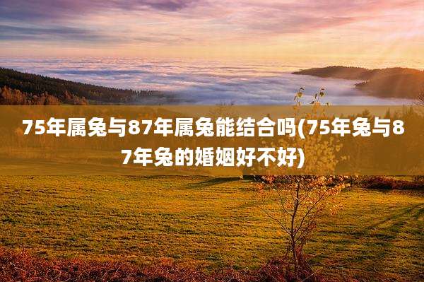 75年属兔与87年属兔能结合吗(75年兔与87年兔的婚姻好不好)