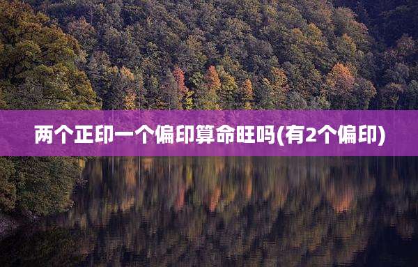 两个正印一个偏印算命旺吗(有2个偏印)