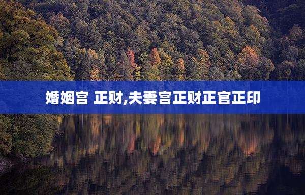 婚姻宫 正财,夫妻宫正财正官正印
