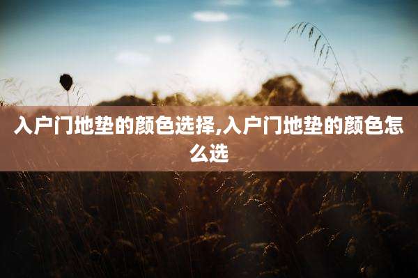 入户门地垫的颜色选择,入户门地垫的颜色怎么选