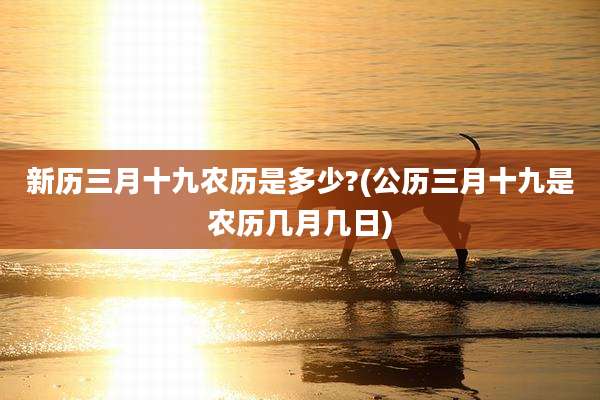 新历三月十九农历是多少?(公历三月十九是农历几月几日)