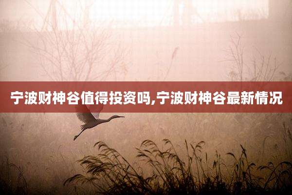 宁波财神谷值得投资吗,宁波财神谷最新情况