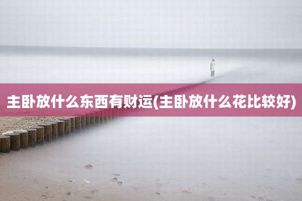主卧放什么东西有财运(主卧放什么花比较好)