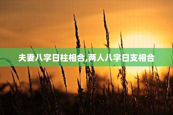 夫妻八字日柱相合,两人八字日支相合