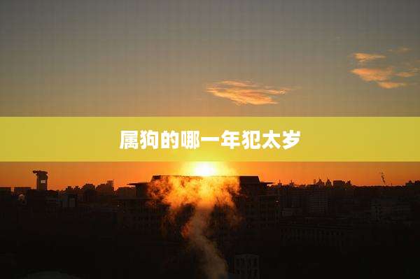 属狗的哪一年犯太岁