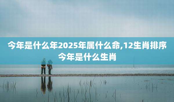 今年是什么年2025年属什么命,12生肖排序今年是什么生肖