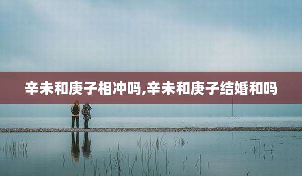 辛未和庚子相冲吗,辛未和庚子结婚和吗