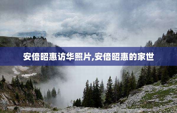 安倍昭惠访华照片,安倍昭惠的家世