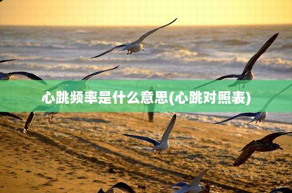 心跳频率是什么意思(心跳对照表)