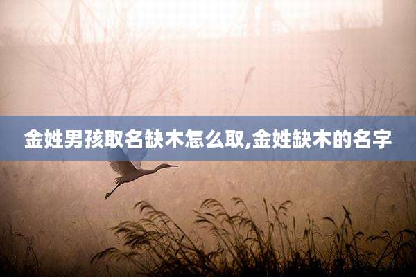 金姓男孩取名缺木怎么取,金姓缺木的名字