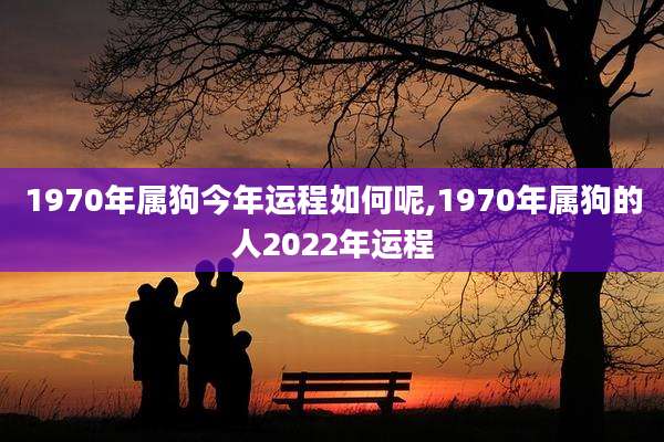 1970年属狗今年运程如何呢,1970年属狗的人2022年运程