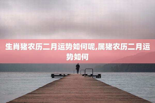 生肖猪农历二月运势如何呢,属猪农历二月运势如何