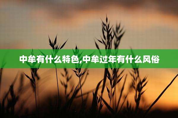 中牟有什么特色,中牟过年有什么风俗