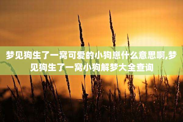 梦见狗生了一窝可爱的小狗崽什么意思啊,梦见狗生了一窝小狗解梦大全查询