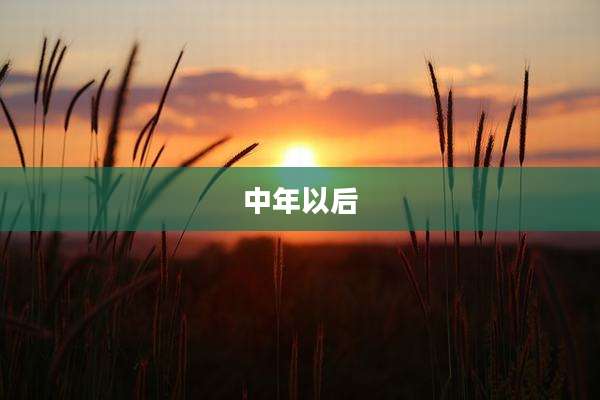 中年以后