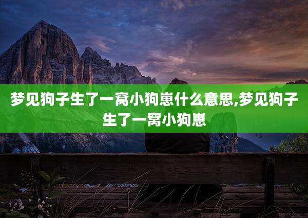 梦见狗子生了一窝小狗崽什么意思,梦见狗子生了一窝小狗崽