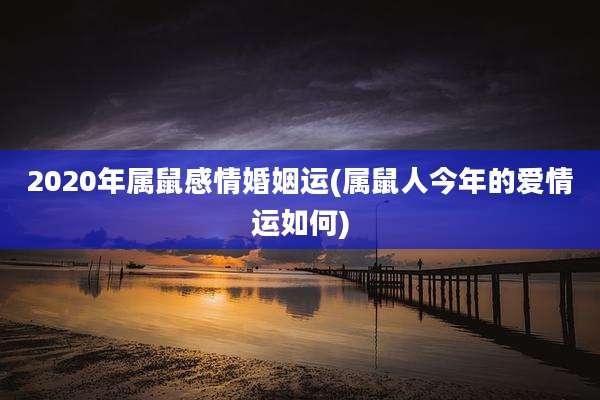 2020年属鼠感情婚姻运(属鼠人今年的爱情运如何)