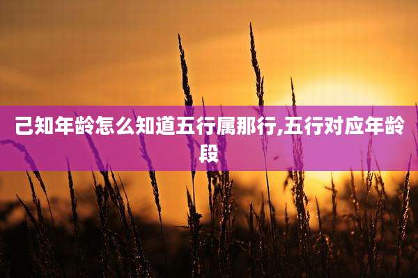 己知年龄怎么知道五行属那行,五行对应年龄段