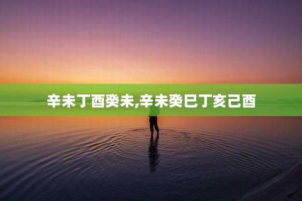 辛未丁酉癸未,辛未癸巳丁亥己酉