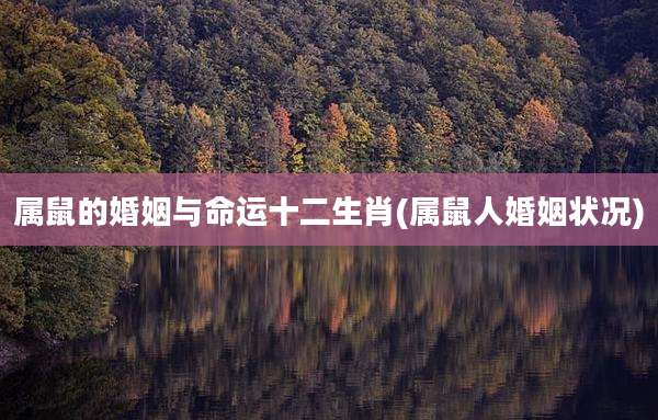 属鼠的婚姻与命运十二生肖(属鼠人婚姻状况)