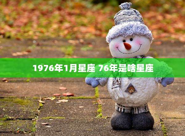 1976年1月星座 76年是啥星座